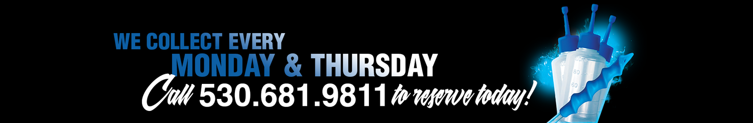 PWR SIRES /// OTTENWALTER SHOW PIGS