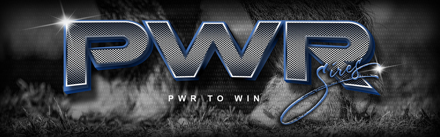 PWR SIRES /// OTTENWALTER SHOW PIGS